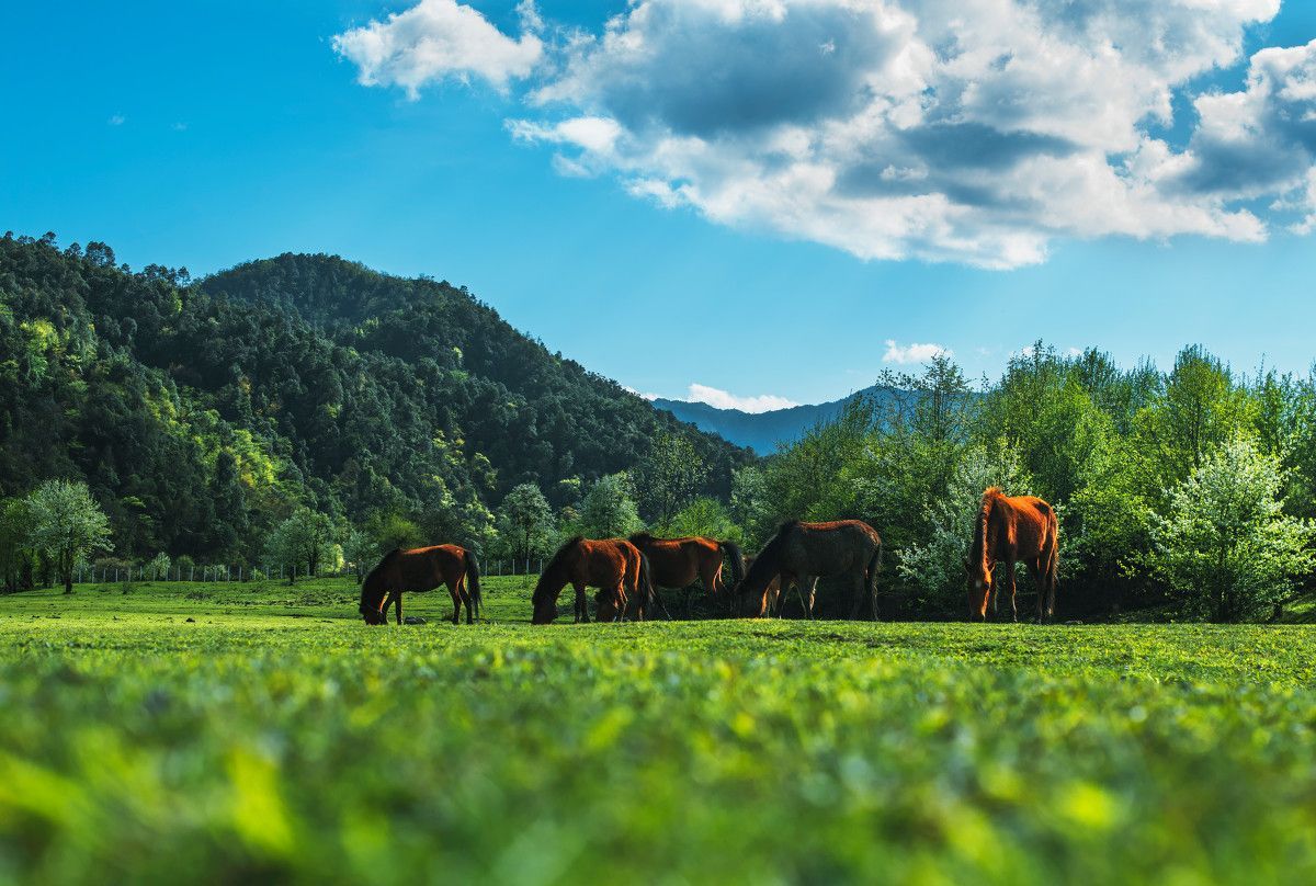 腾冲文明旅游手册：主要旅游产品指导价一并告知