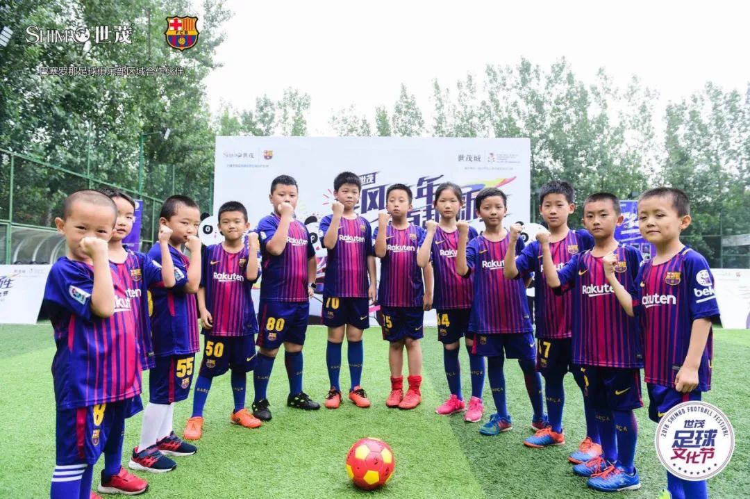 世界杯正激战正酣,激战正酣世界杯