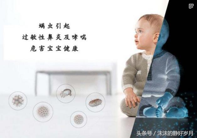 宝宝螨虫怎么消除,螨虫对儿童有哪些危害动画