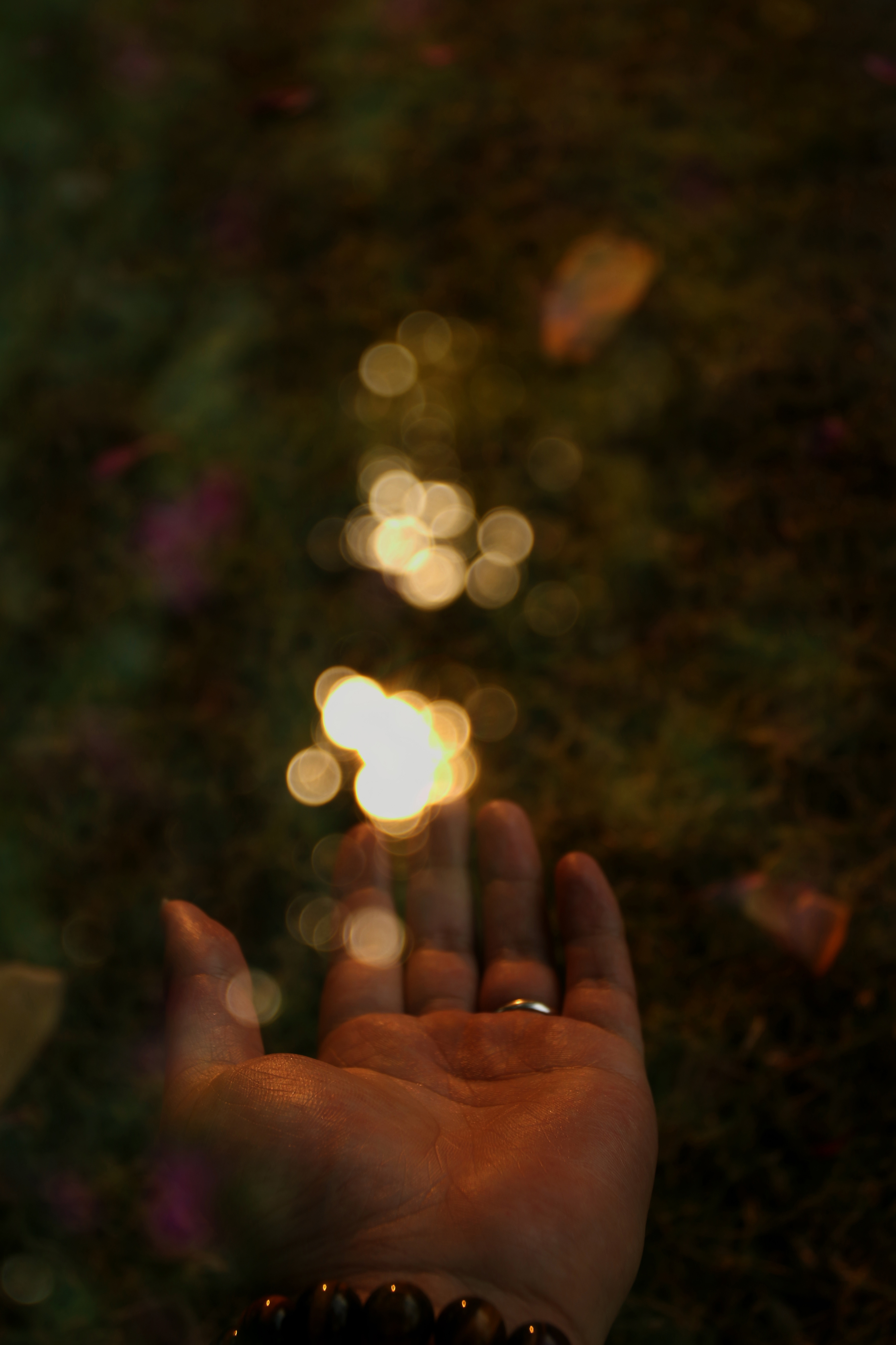 中艺摄影微课堂多重曝光,多重曝光摄影视频教程