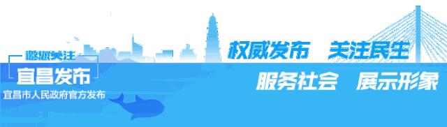 宜昌人攀岩、羽毛球、太极拳免费学！报名信息都在这！