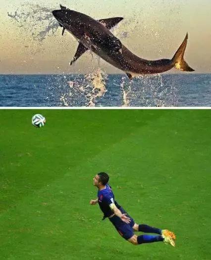 2018关于世界杯的梗,2018年世界杯有哪些梗