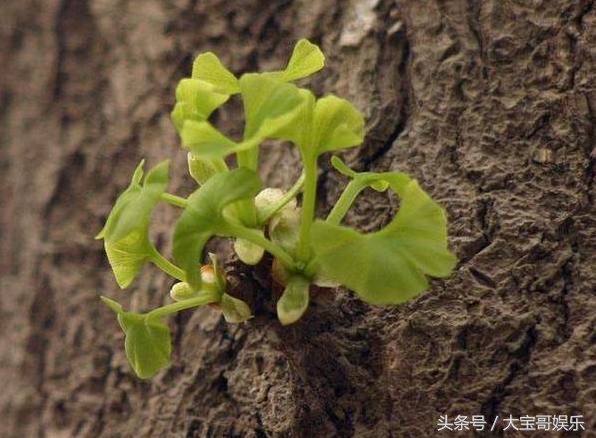 心理测试秒测你有没有享福命,心理测试测出你明年的困境是什么