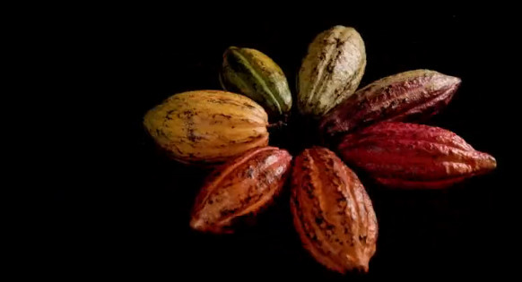 豆瓣8.9高分,豆瓣8.9评分经典