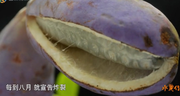 中国顶级美食纪录片,中国顶尖美食纪录片