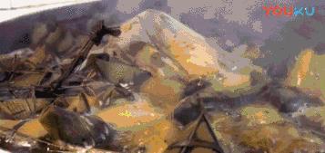 粽子推荐有肉粽和甜粽,豆沙粽是哪个省区的特色粽