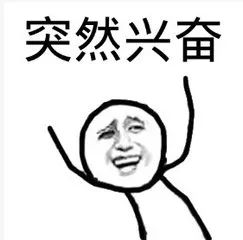 lv定制款狗狗包,lv上画熊猫的包