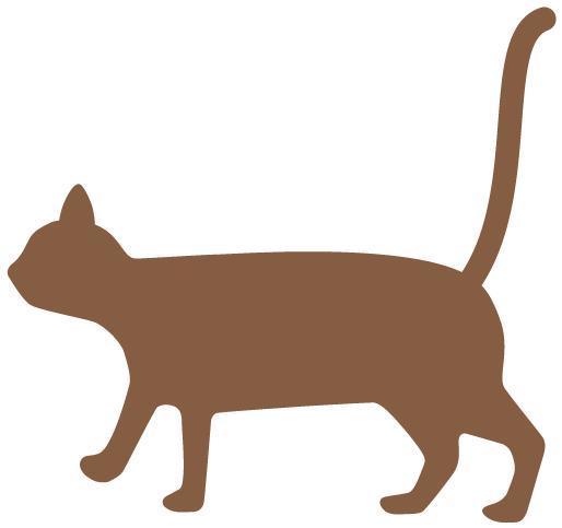 中国福利彩票彩色球,2018年足球世界杯彩票