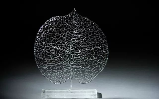 玻璃艺术展示,玻璃艺术之美