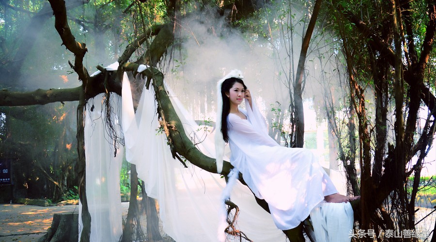 仙家真正看病的视频,仙家能看病吗