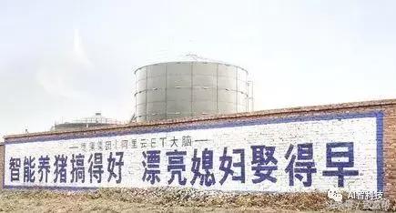 未来养猪如何赚钱,前沿技术智能化养猪与传统养猪