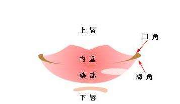 女人晚年下巴破相相学,相学中破相有什么说法