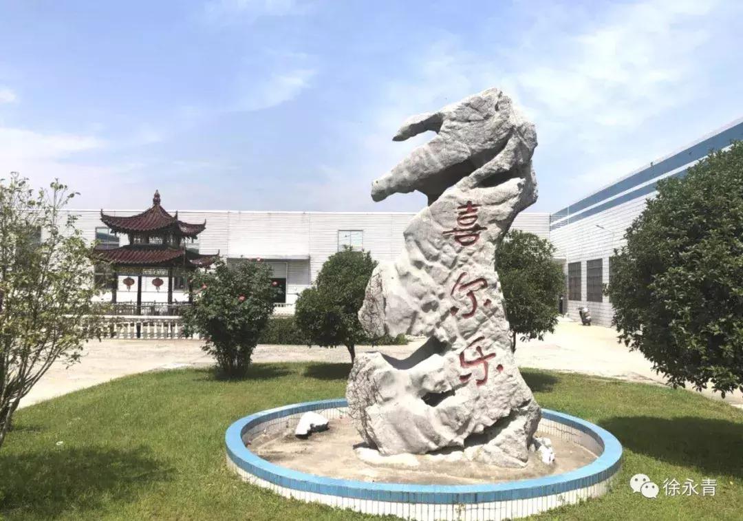 老徐会客厅专访,老徐会客厅茶话会