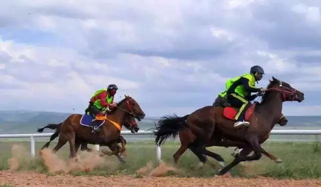 甘肃张掖军马场旅游 (张掖最好的军马场)