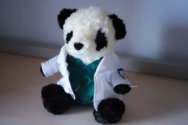 在中医诊所要做什么,在北中医读研的体验