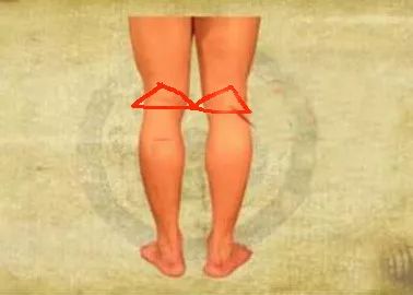 人体八大黄金穴,人体九大系统对应的器官