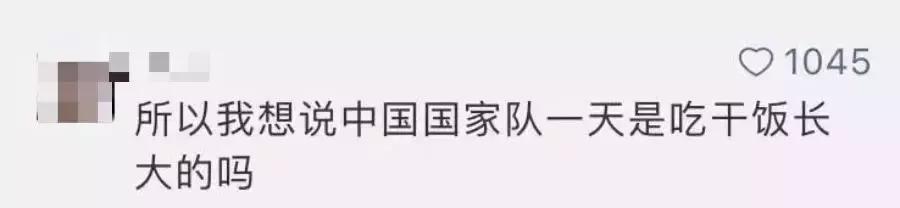 冰岛队的晋级之路,冰岛队球员是职业球员吗