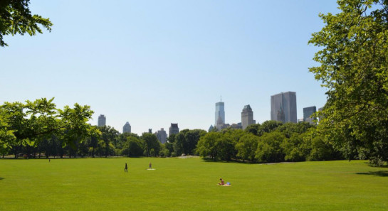 金茂国际新城四大主题公园,金茂国际新城深度解析