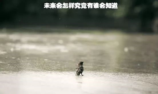 都说曲面电视一无是处,我不能完全同意!