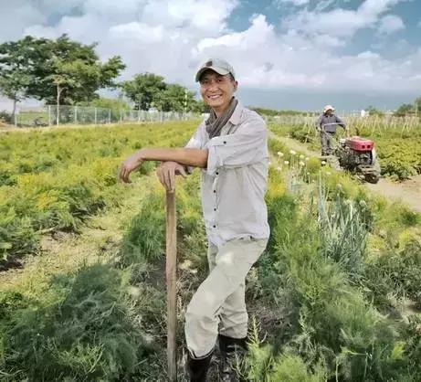 一个辍学生在大理租下23个足球场大的地方，种菜、养牛、建农场