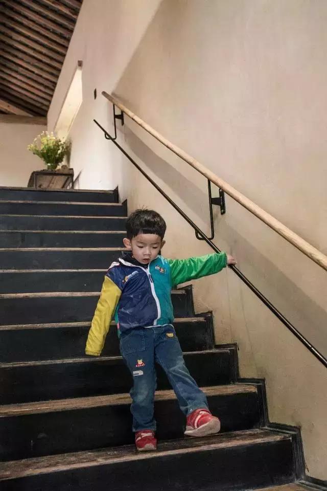 一个辍学生在大理租下23个足球场大的地方，种菜、养牛、建农场