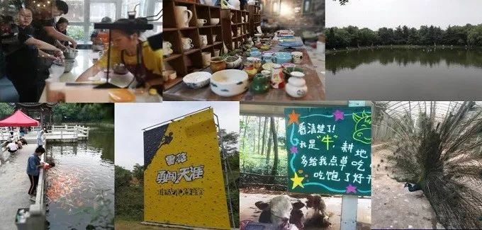 总有一款适合你春耕备耕进行中,现代农业案例分享