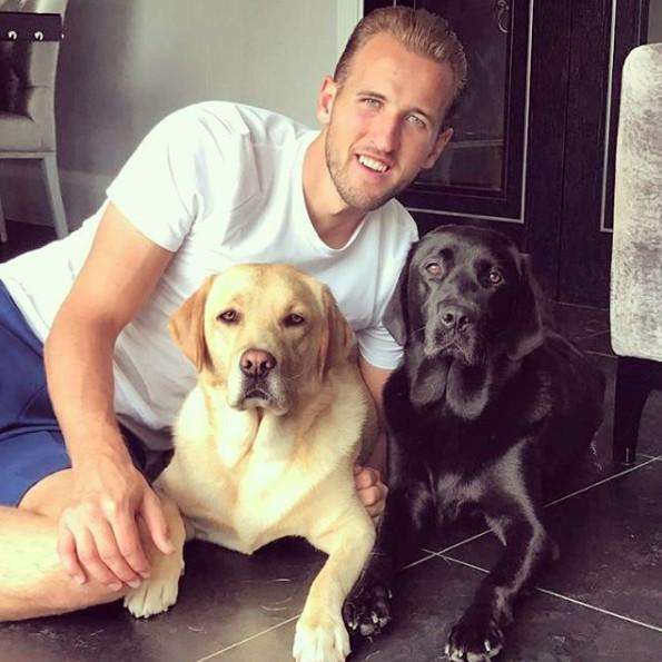 凯恩小时候和贝克汉姆,英格兰球星凯恩照片