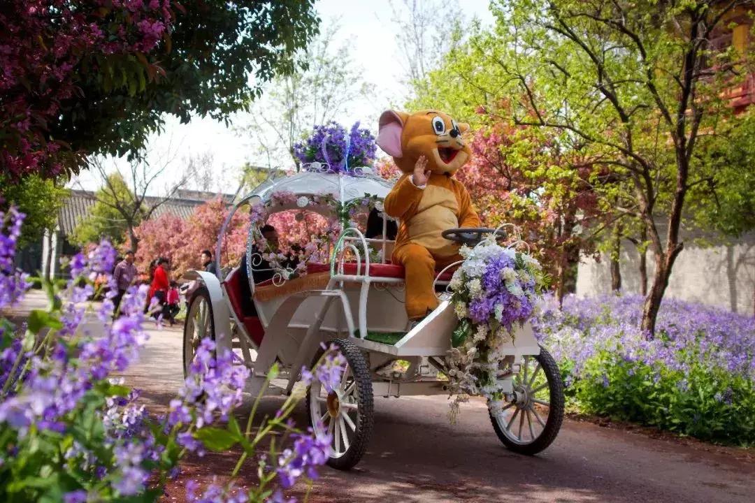 台儿庄古城最新免票政策,台儿庄古城对临沂人免门票吗