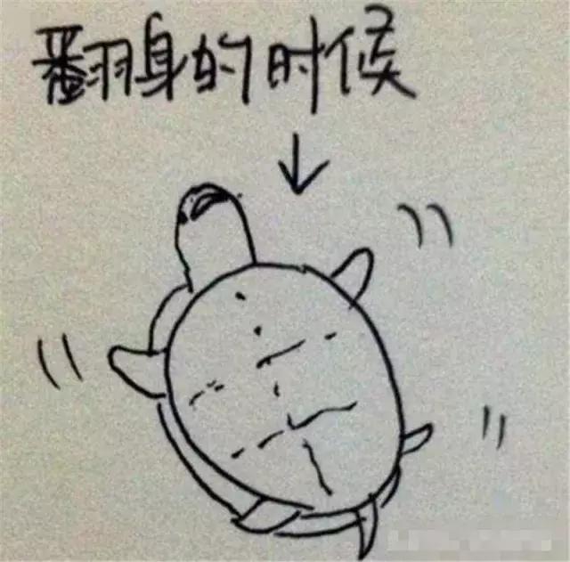 杭州禧月阁旅游攻略,杭州禧月阁月子中心托管