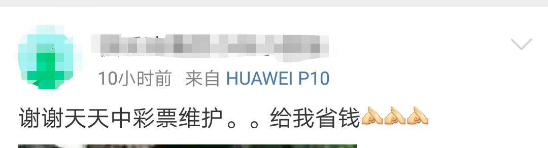 世界杯竞猜怎么停售了,明年体育彩票竞猜是否停售