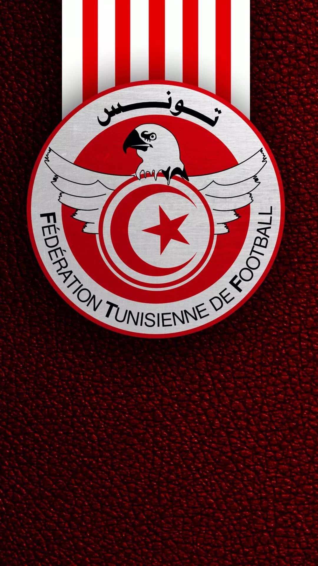 梅西c罗合照壁纸背影,梅西c罗动漫图片壁纸