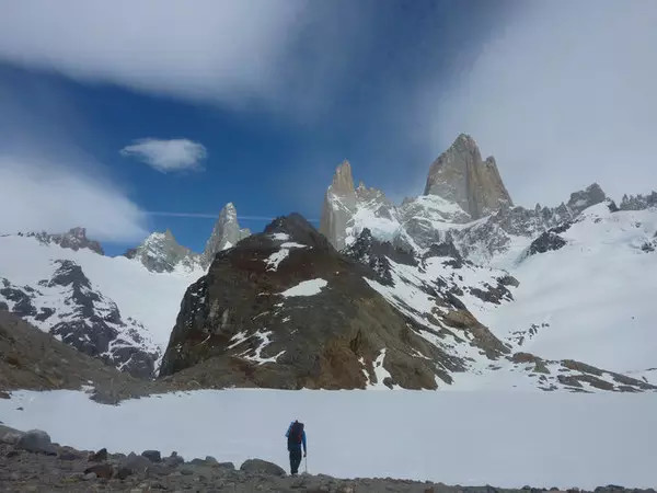 世界杯决赛潘帕斯雄鹰高卢,世界杯潘帕斯进球