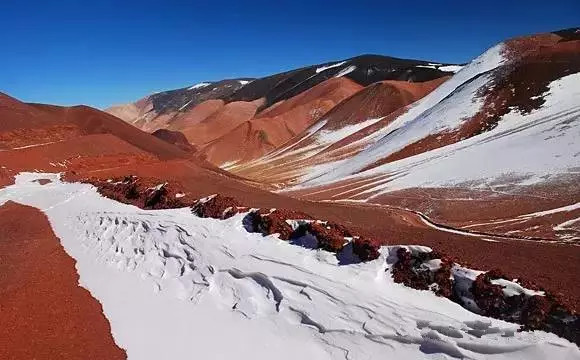 世界杯决赛潘帕斯雄鹰高卢,世界杯潘帕斯进球