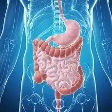 每天都排便还有宿便有多少斤,人体内真有10斤宿便吗