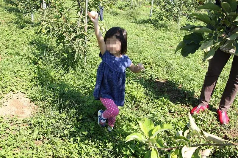 京郊7月采摘好去处,江宁农场采摘一日游
