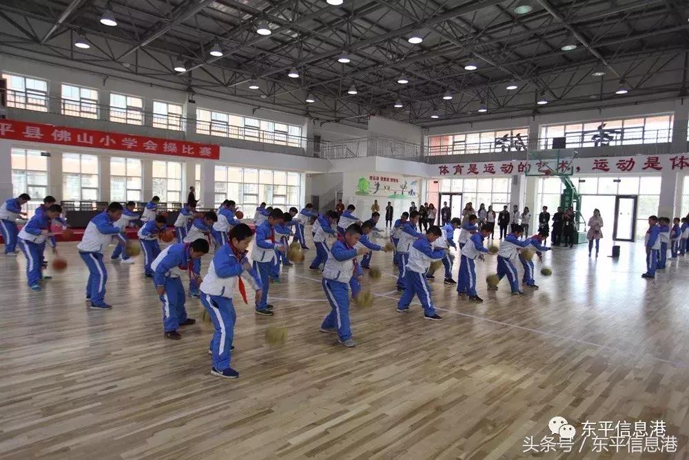 广州市白云区东平小学,东平小学怎么样