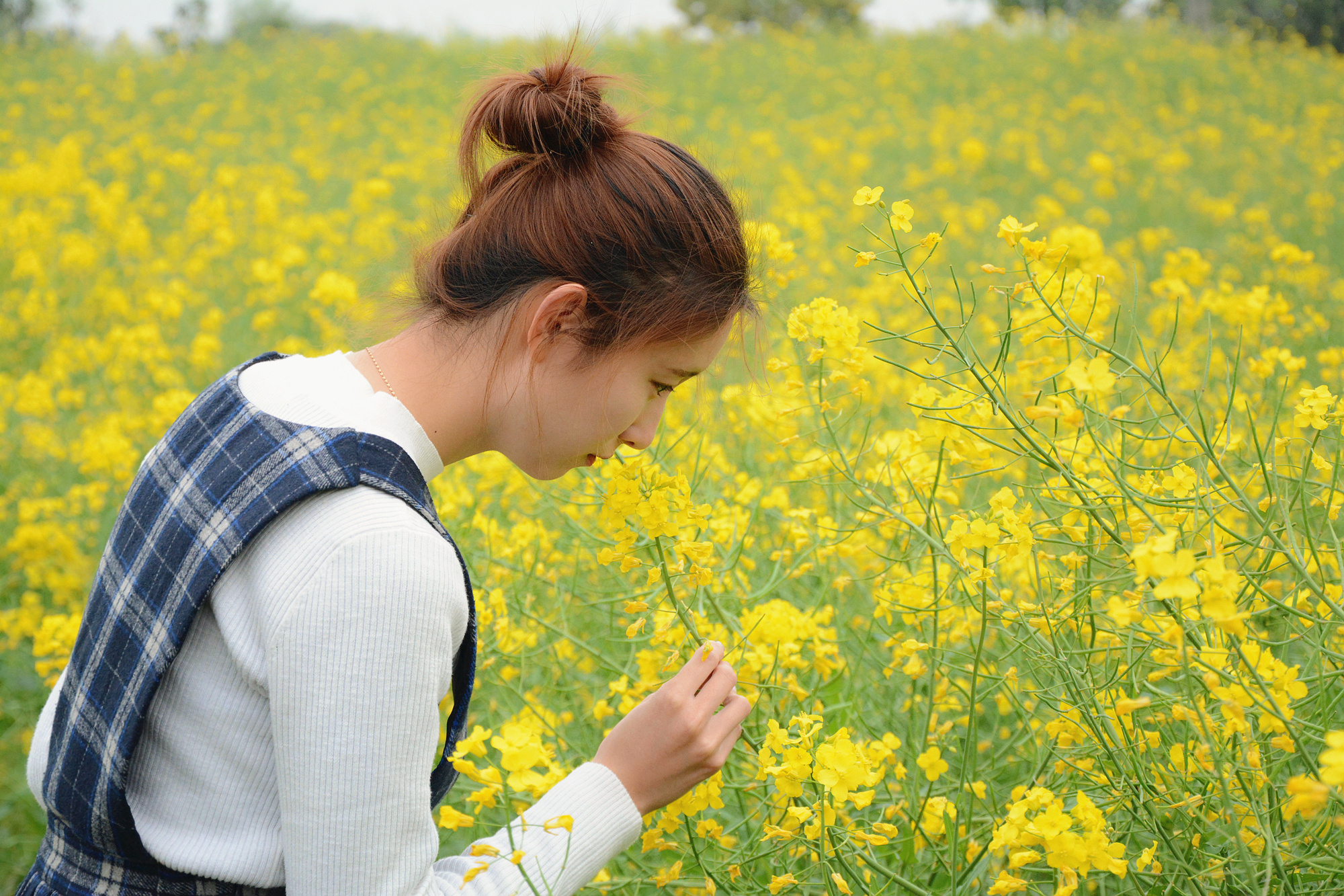 苏州的小桥流水在哪里,苏州比较不错的景点