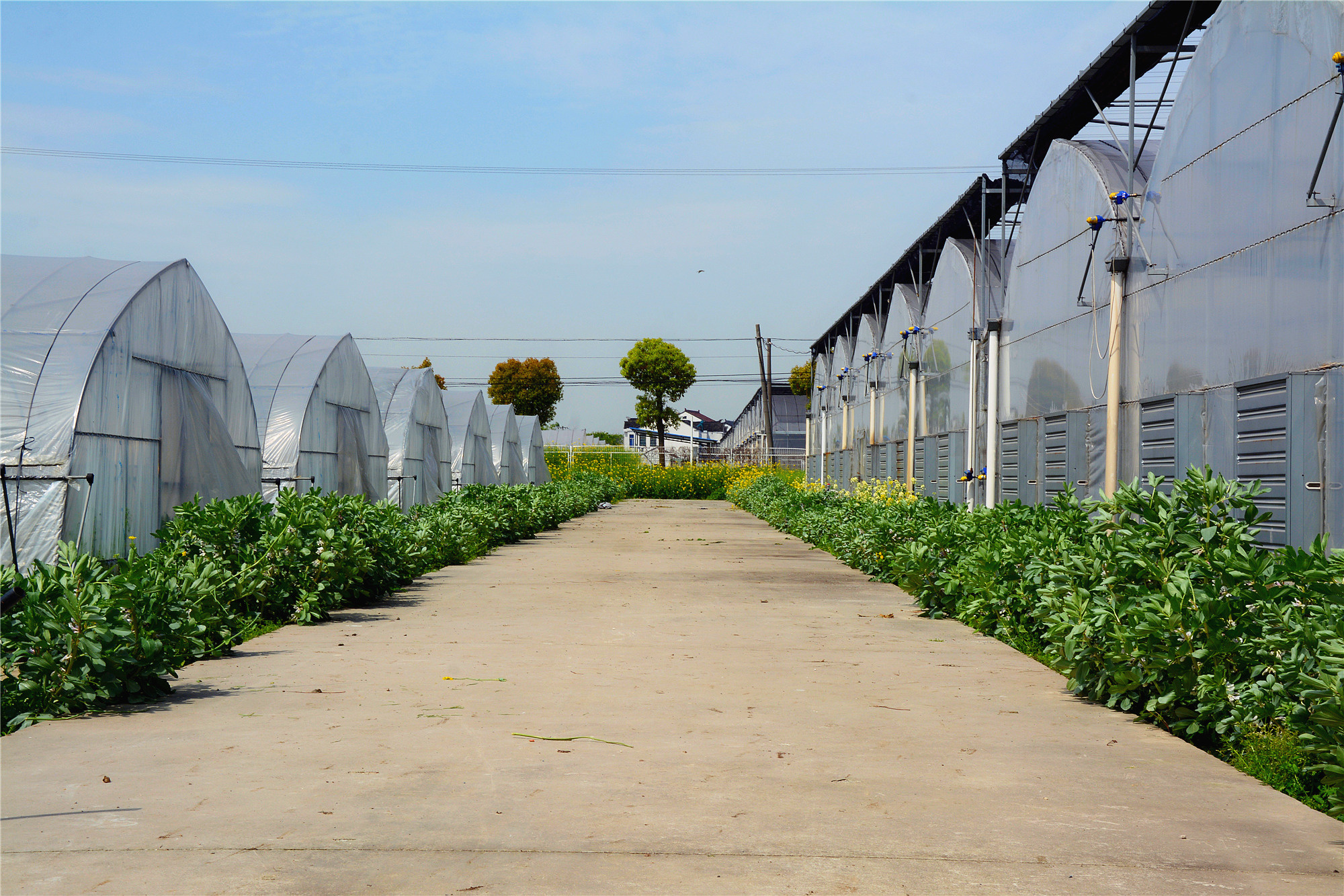 苏州哪里小桥流水人家,苏州少数人知道的好玩地方