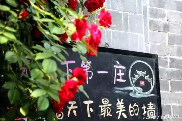 台儿庄古城免费政策包括哪些,台儿庄古城五区一市免费