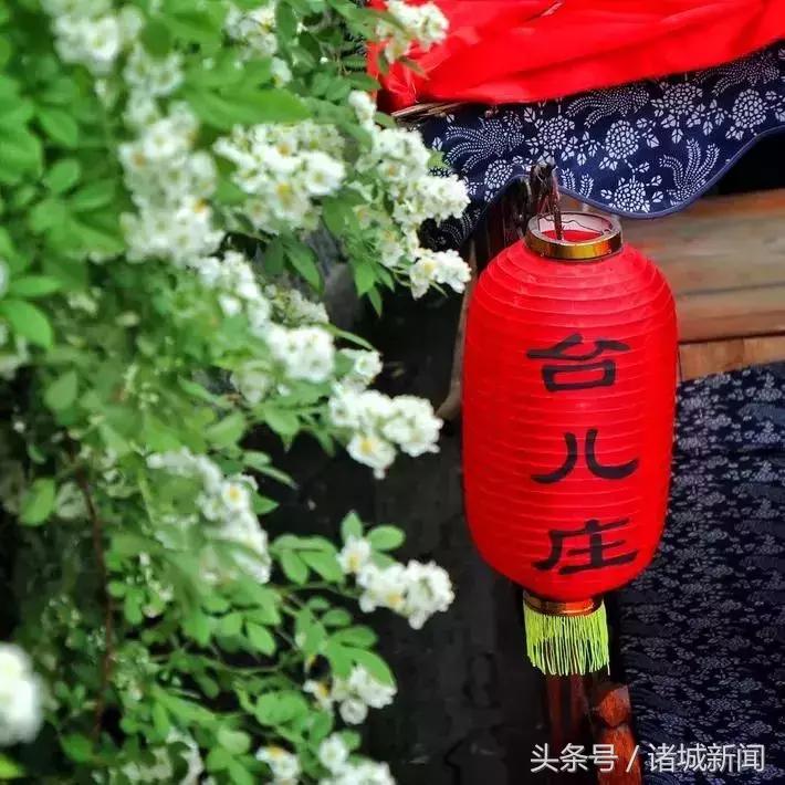 台儿庄古城免费政策包括哪些,台儿庄古城五区一市免费