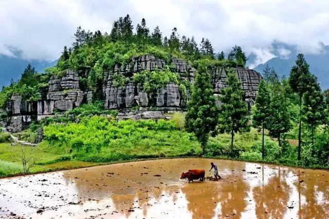 最美县域榜单2021,2020甘肃最美县域榜单