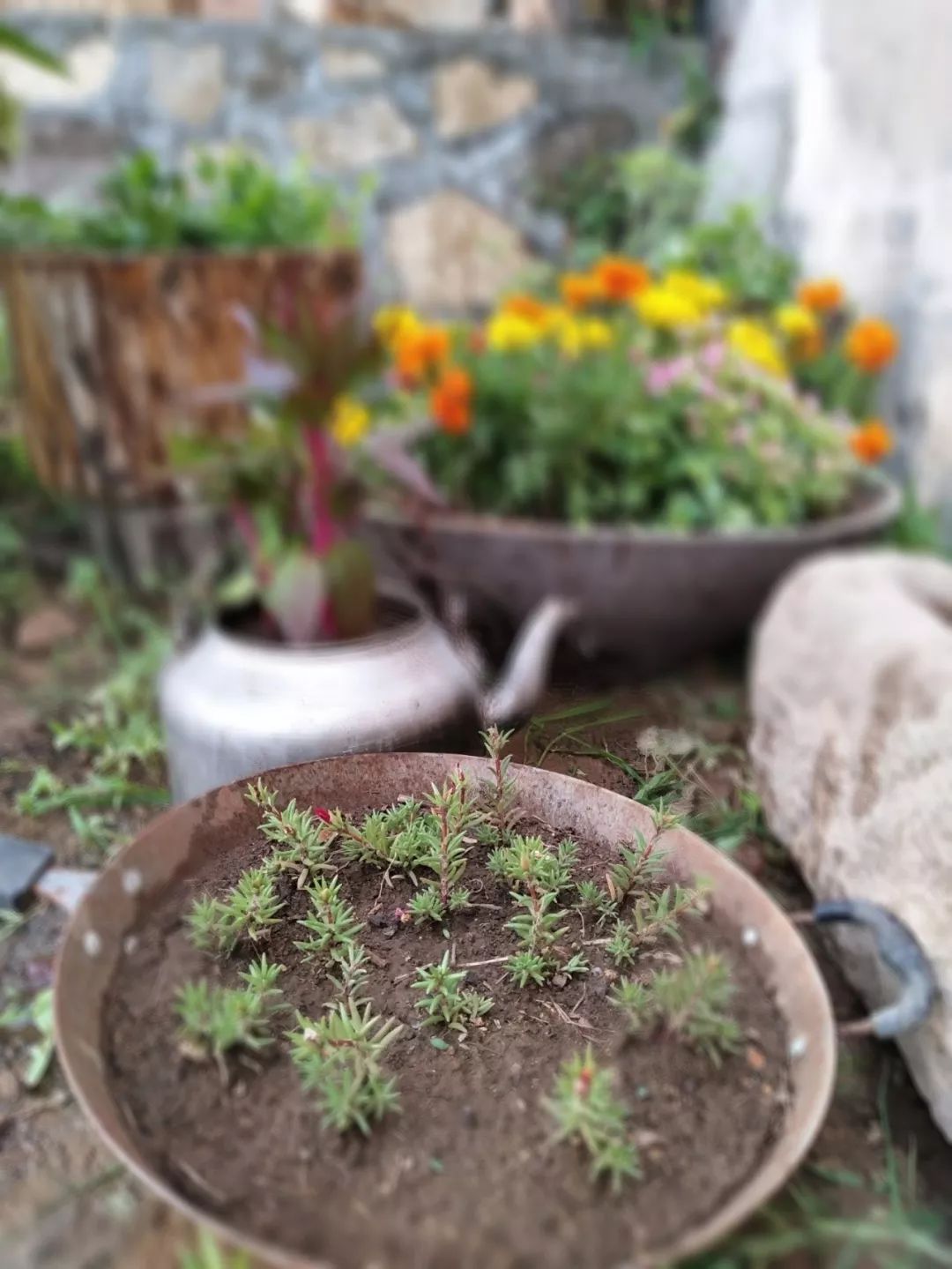 家里摆放凌乱废旧物品,家里的这些旧物别急着扔