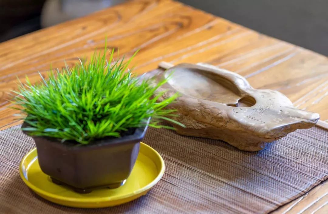 家里摆放凌乱废旧物品,家里的这些旧物别急着扔