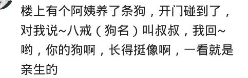 遇到嘴欠的人怎么回怼,怎么怼一个嘴欠的人
