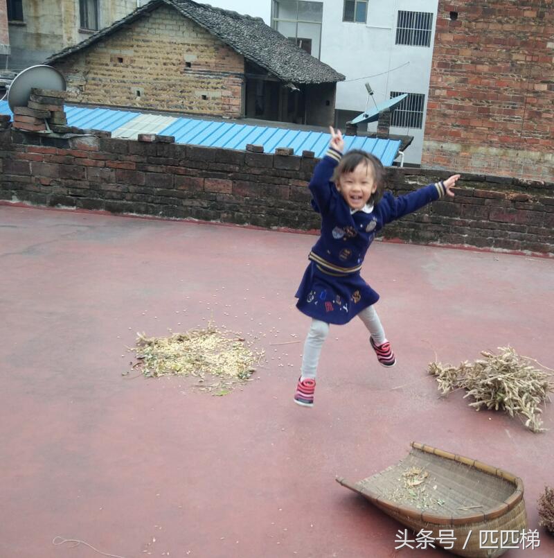 屋顶大面积漏水防水用什么涂料好,屋顶漏水用蜡烛做防水3年不漏