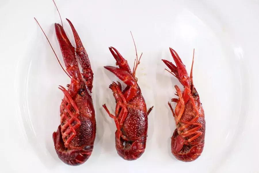 国民龙虾批发,小龙虾网上购买攻略