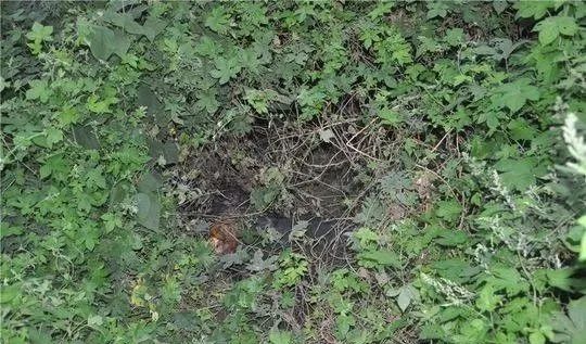 女性被人杀害的真实案例,少女被杀害的真实案例