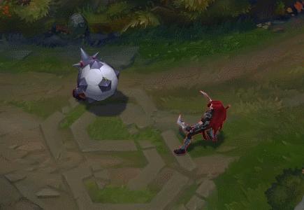 金靴李青,金靴李青多少钱