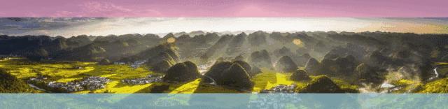 净网2019诈骗名单,净网2019拆穿网络骗局