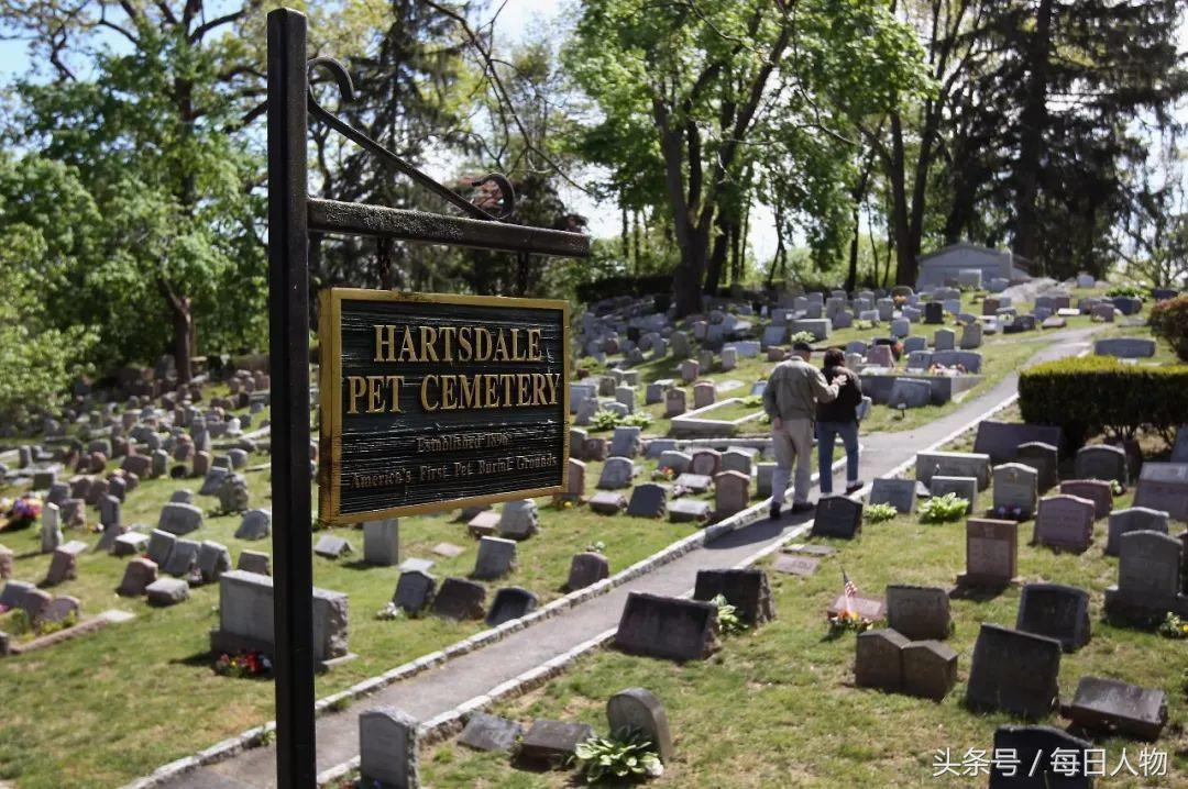 北京女子为狗立碑,北京女子做墓碑送宠物